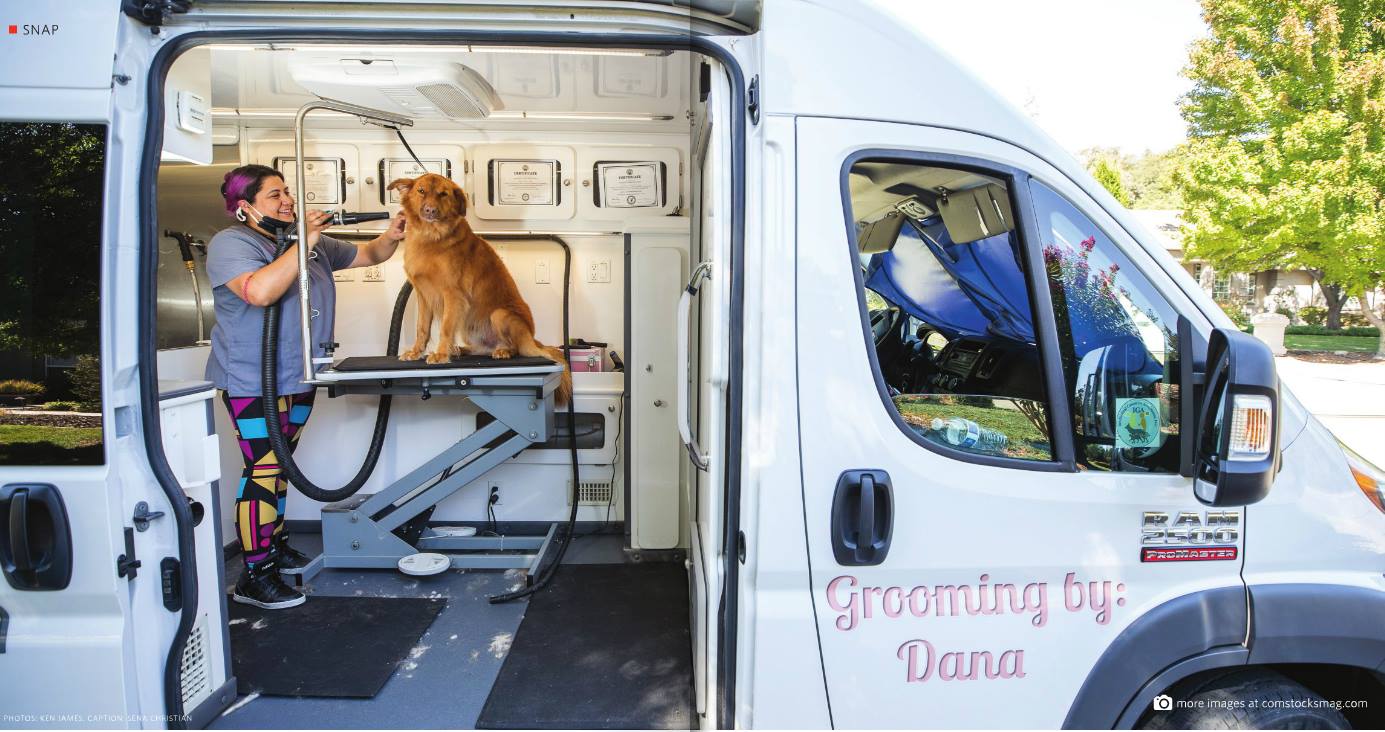 mobile dog wash and grooming