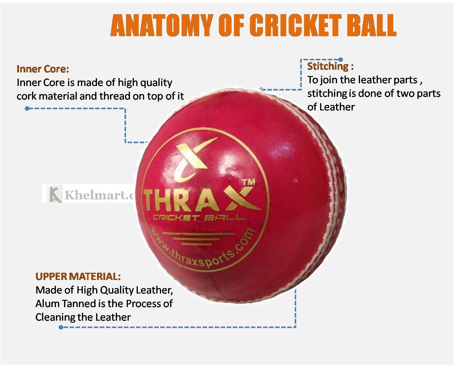 cricket ball size in cm