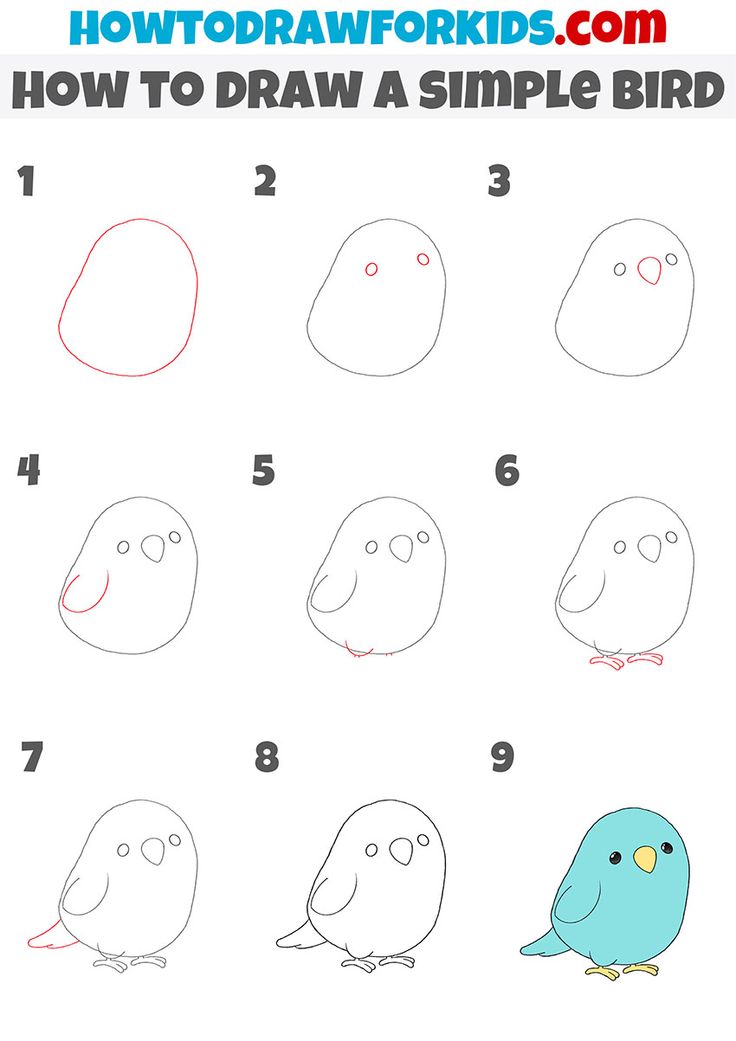 how to draw a bird easy