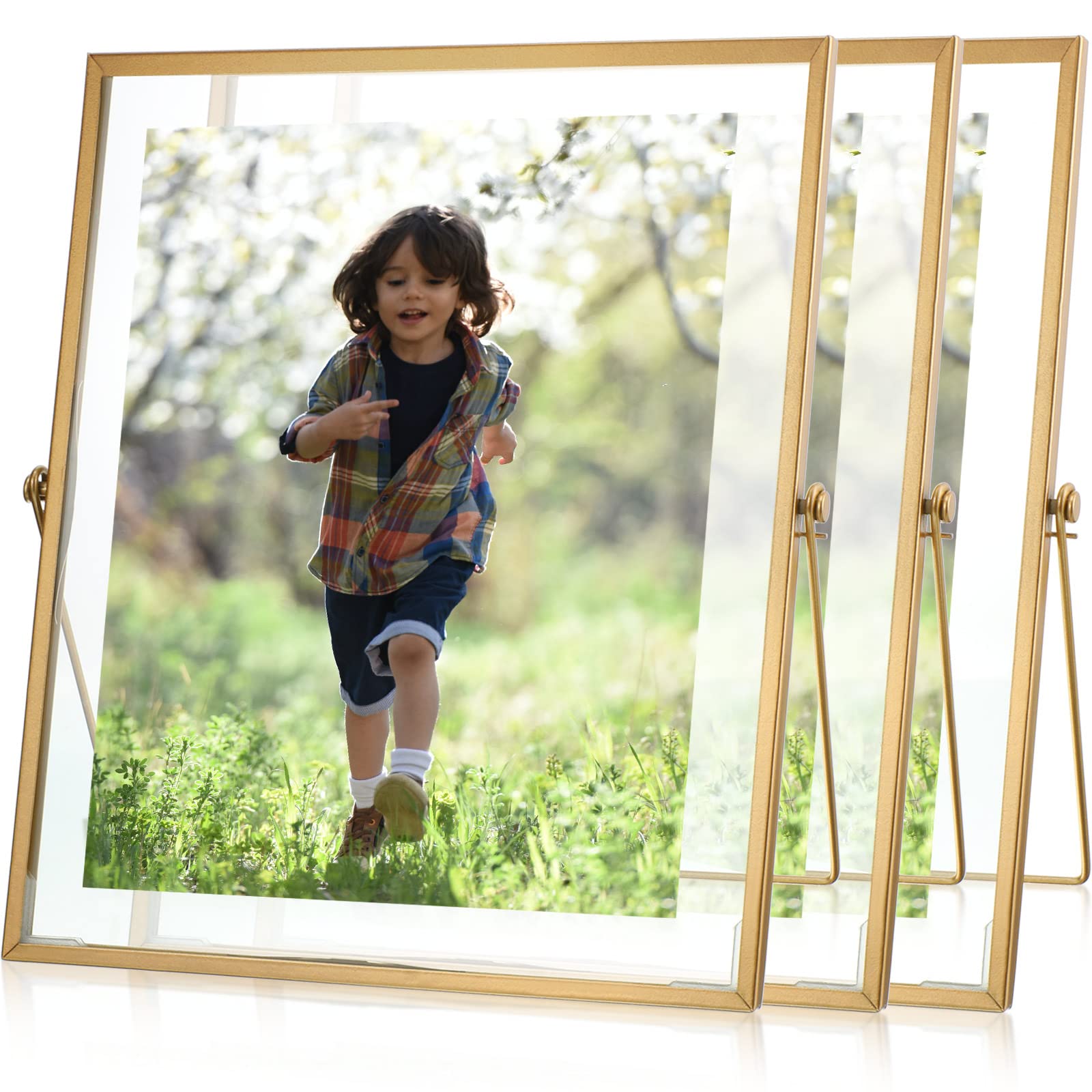 floating picture frame gold