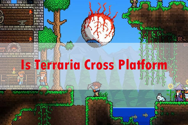 terraria crossplay