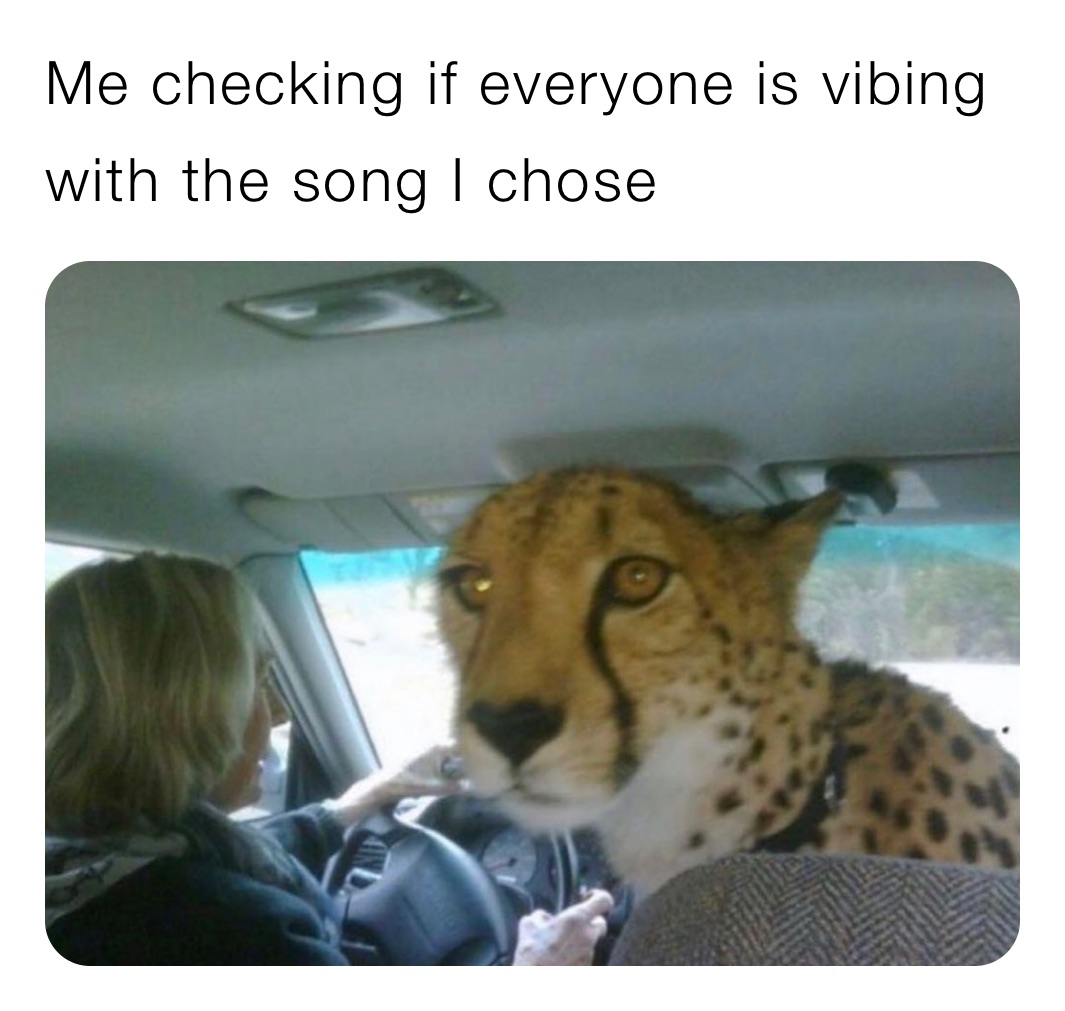 vibing memes