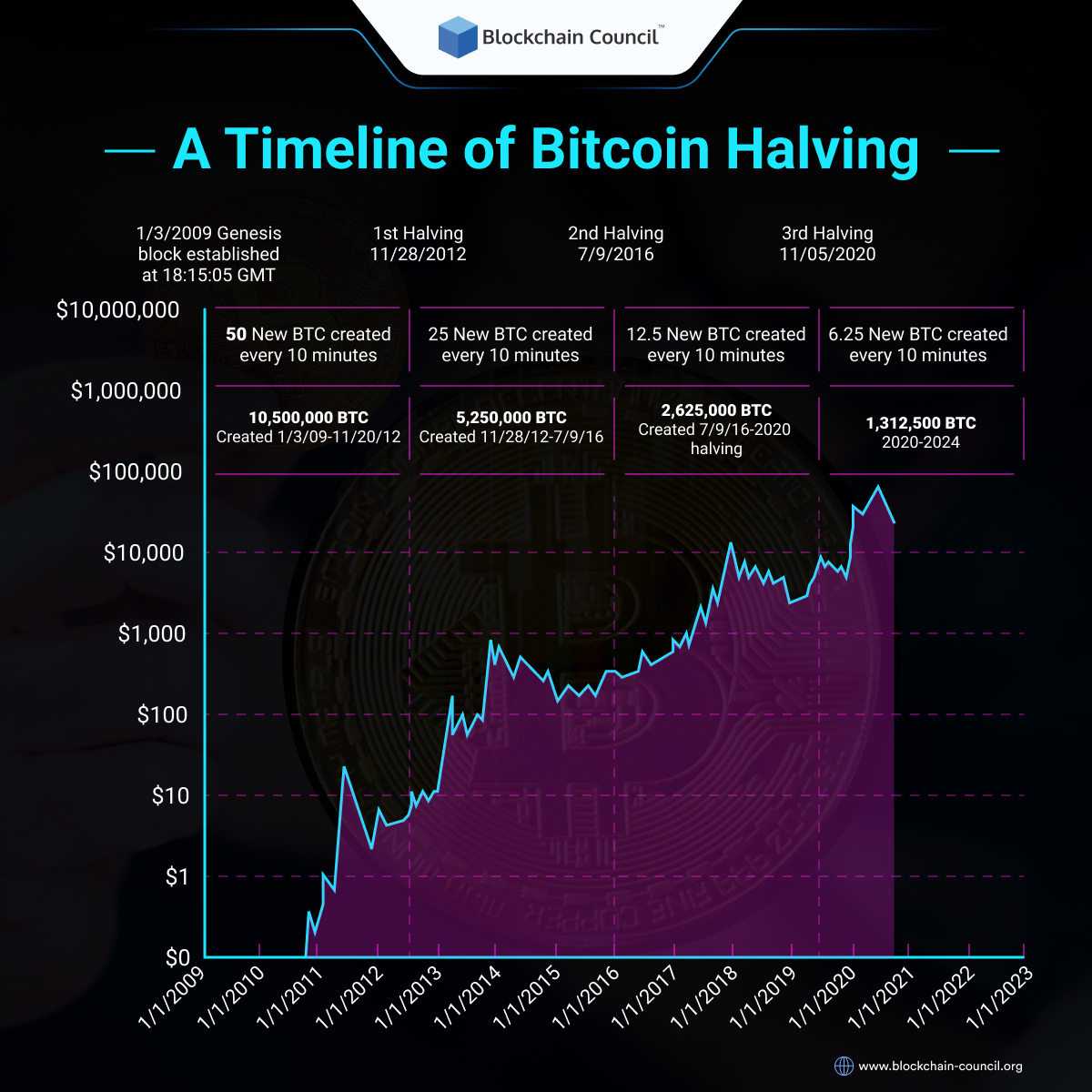 bitcoin halving countdown