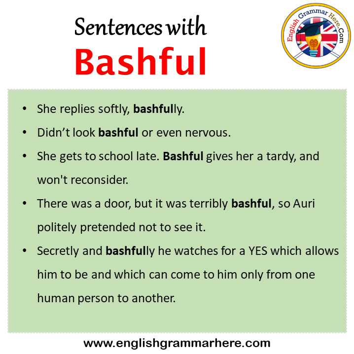 bashful in a sentence