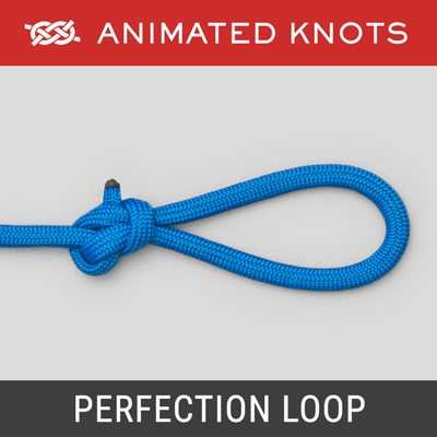 animated knots