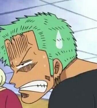 zoro meme