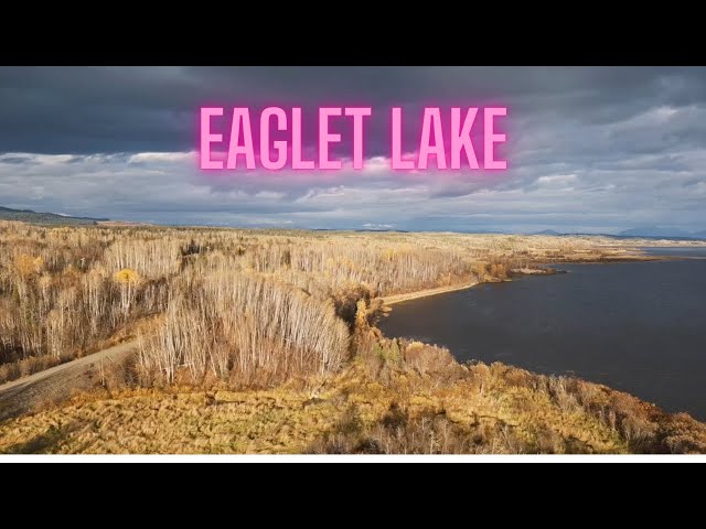 eaglet lake bc