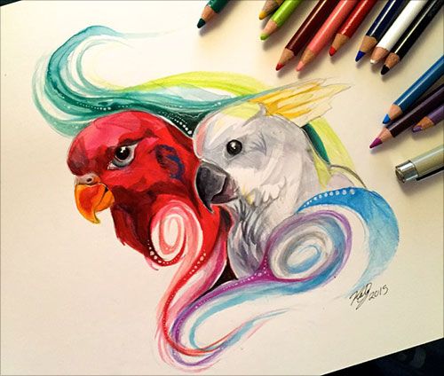 easy colored pencil drawings of animals