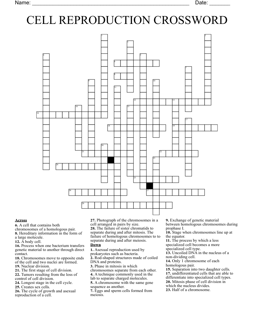 genealogical table crossword