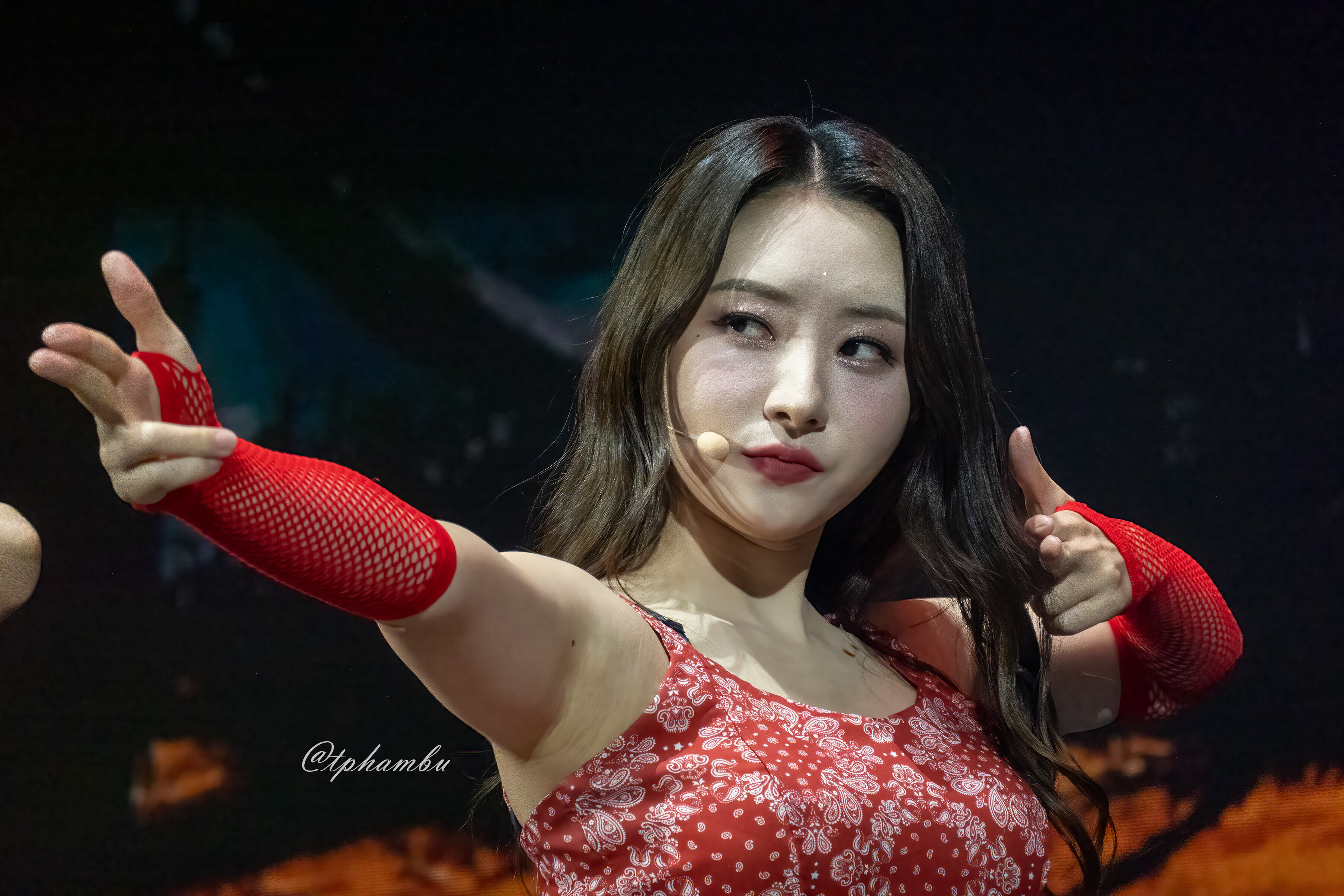 sua dreamcatcher