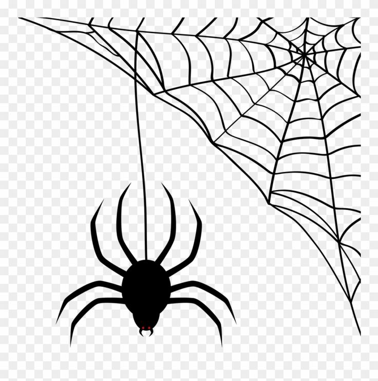 halloween spiders web