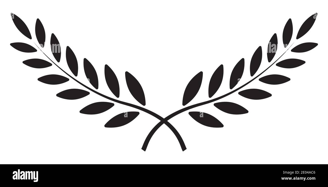 olive branch vector