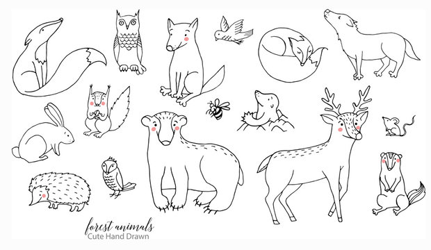 outline drawing of animals