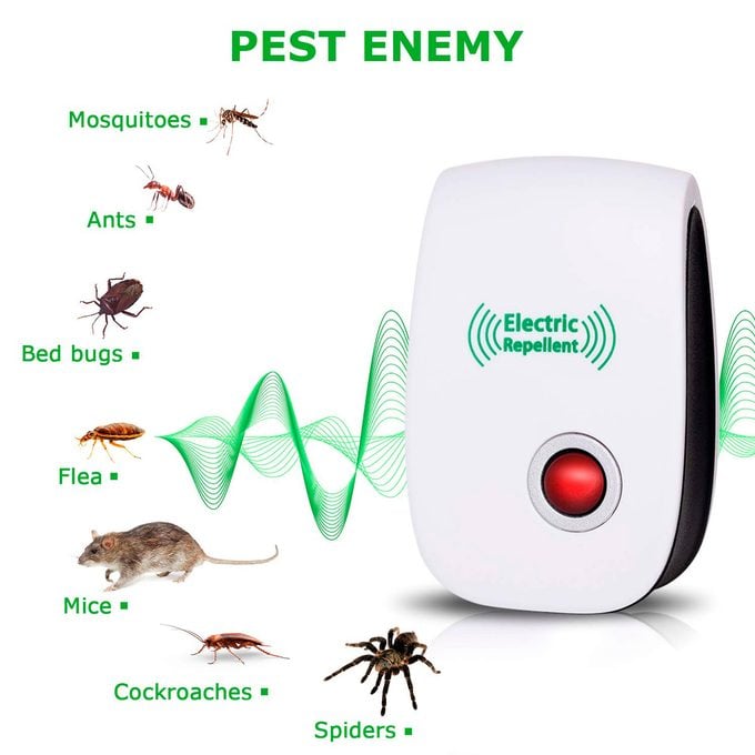 electronic rodent deterrent