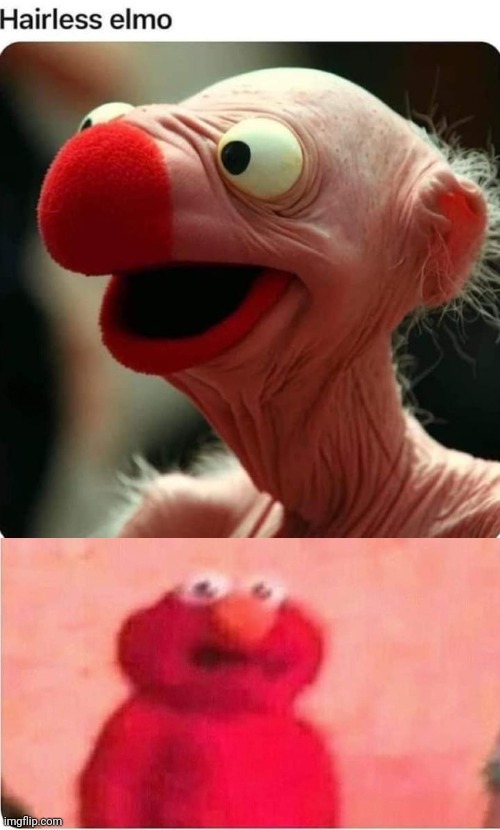 elmo meme