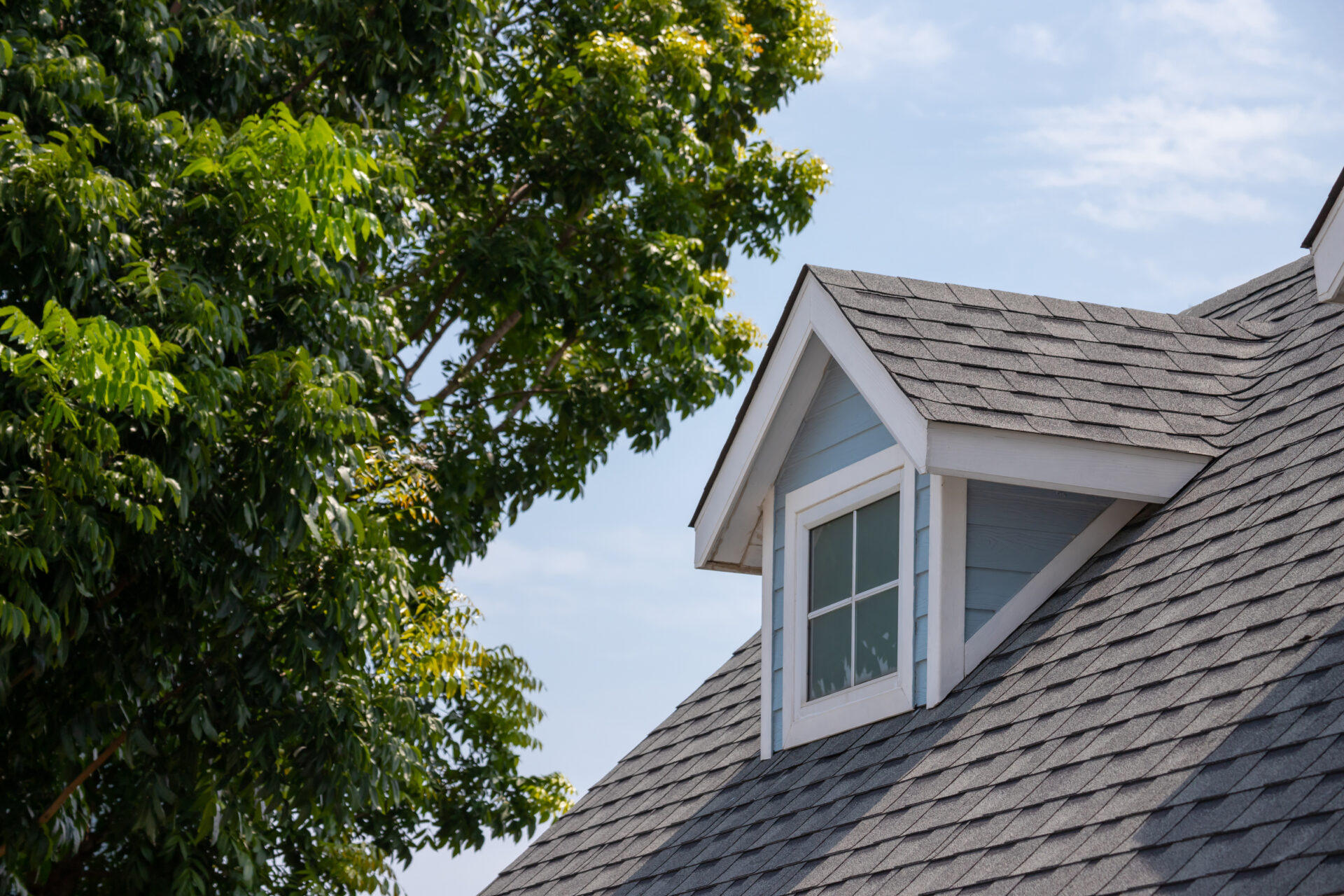 erie roof reviews