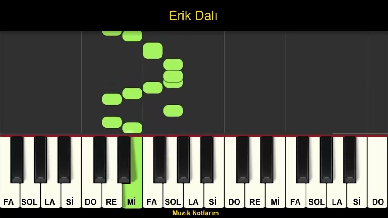 erik dalı notaları melodika