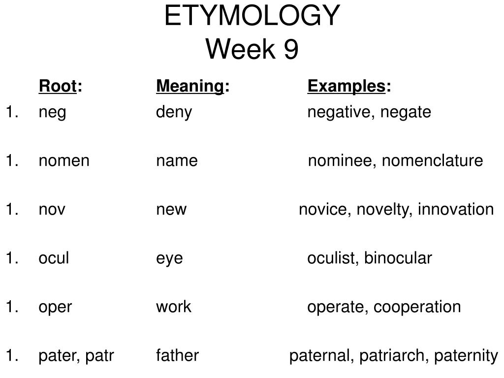 etymology examples sentences