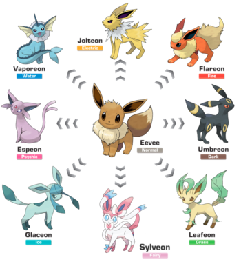 evolve eevee