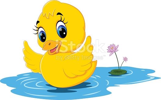 cute duck cartoon