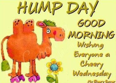 good morning happy hump day