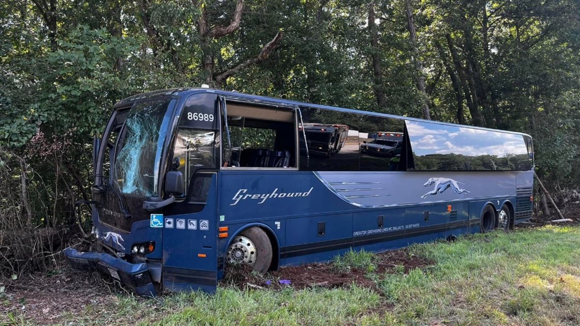 grey hound bus