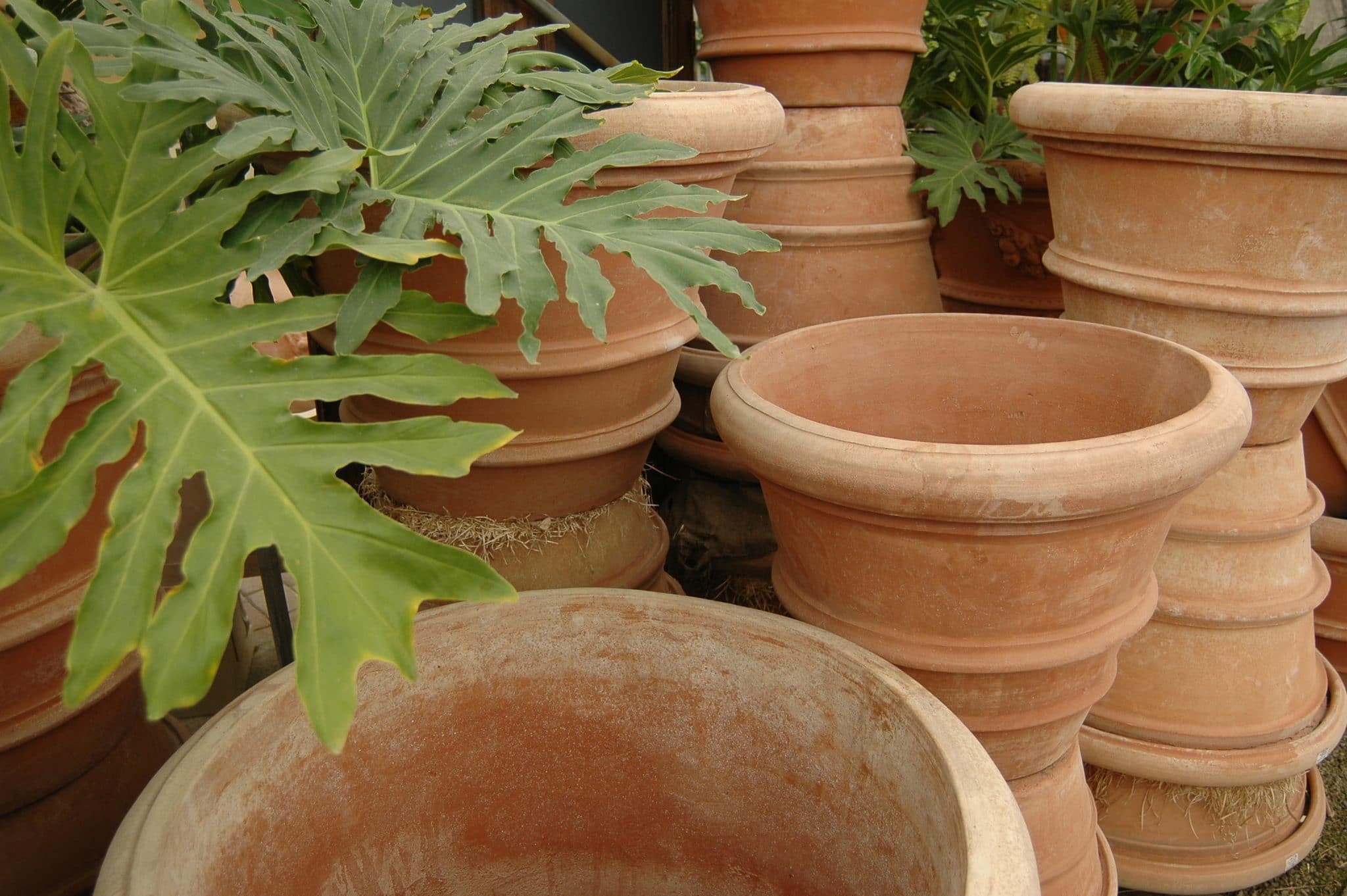 extra large clay pots