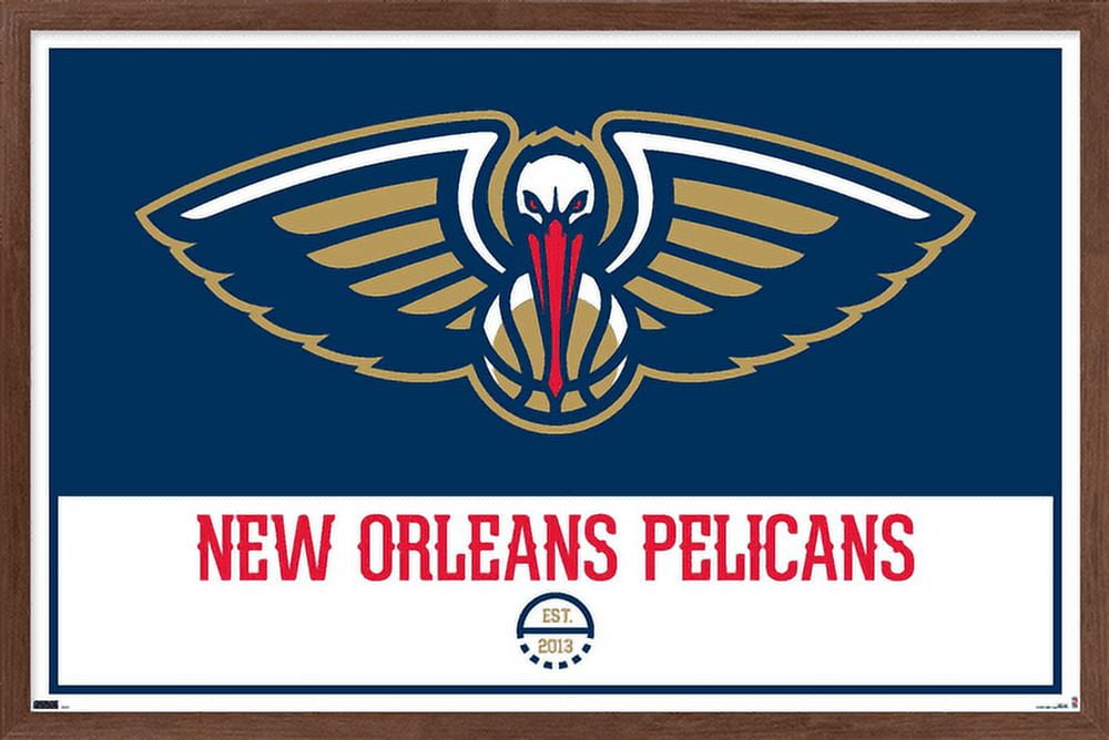 new orleans pelicans