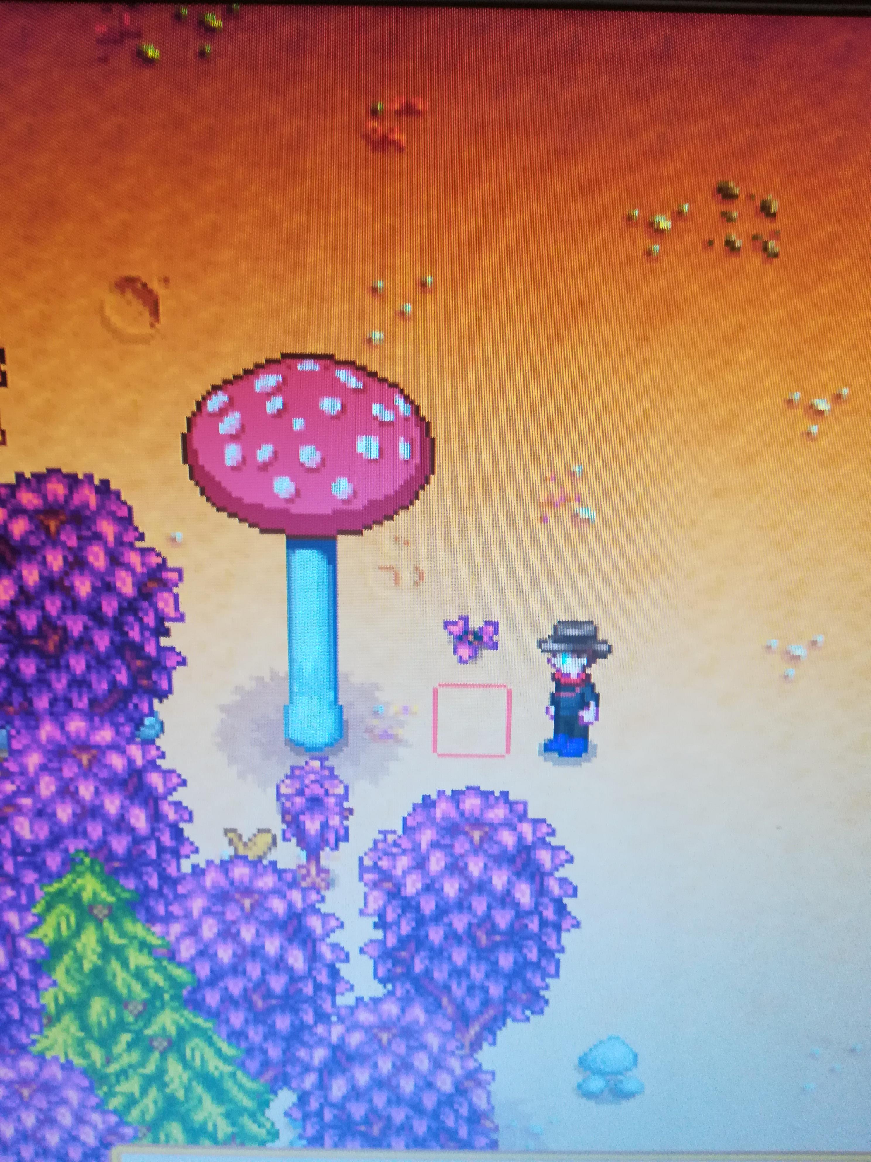 mushroom tree stardew