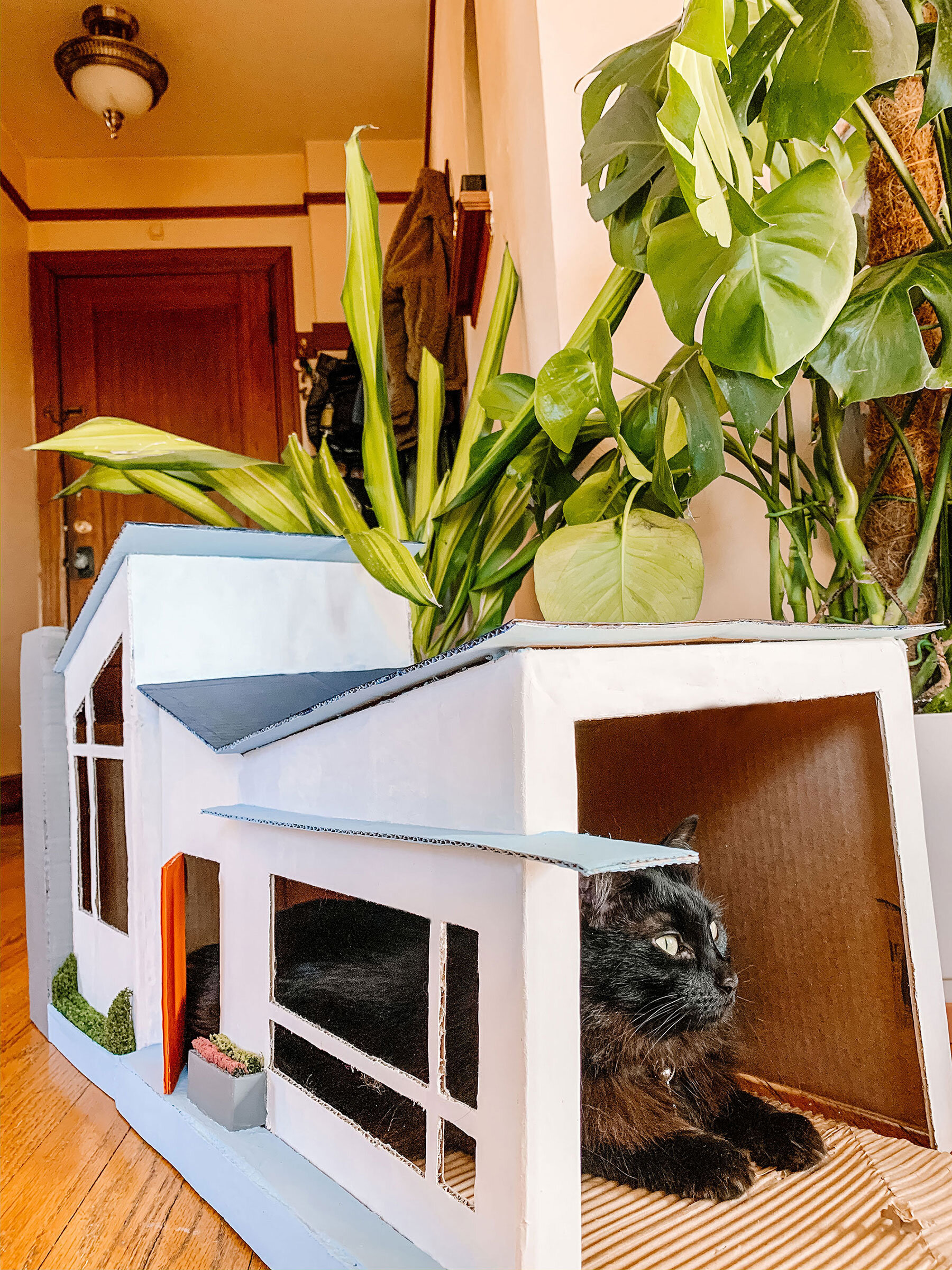 cardboard diy cat house