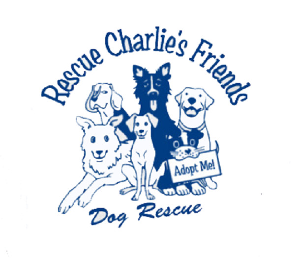 rescue charlies friends petfinder