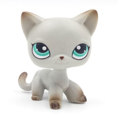 littlest pet shop short hair cat