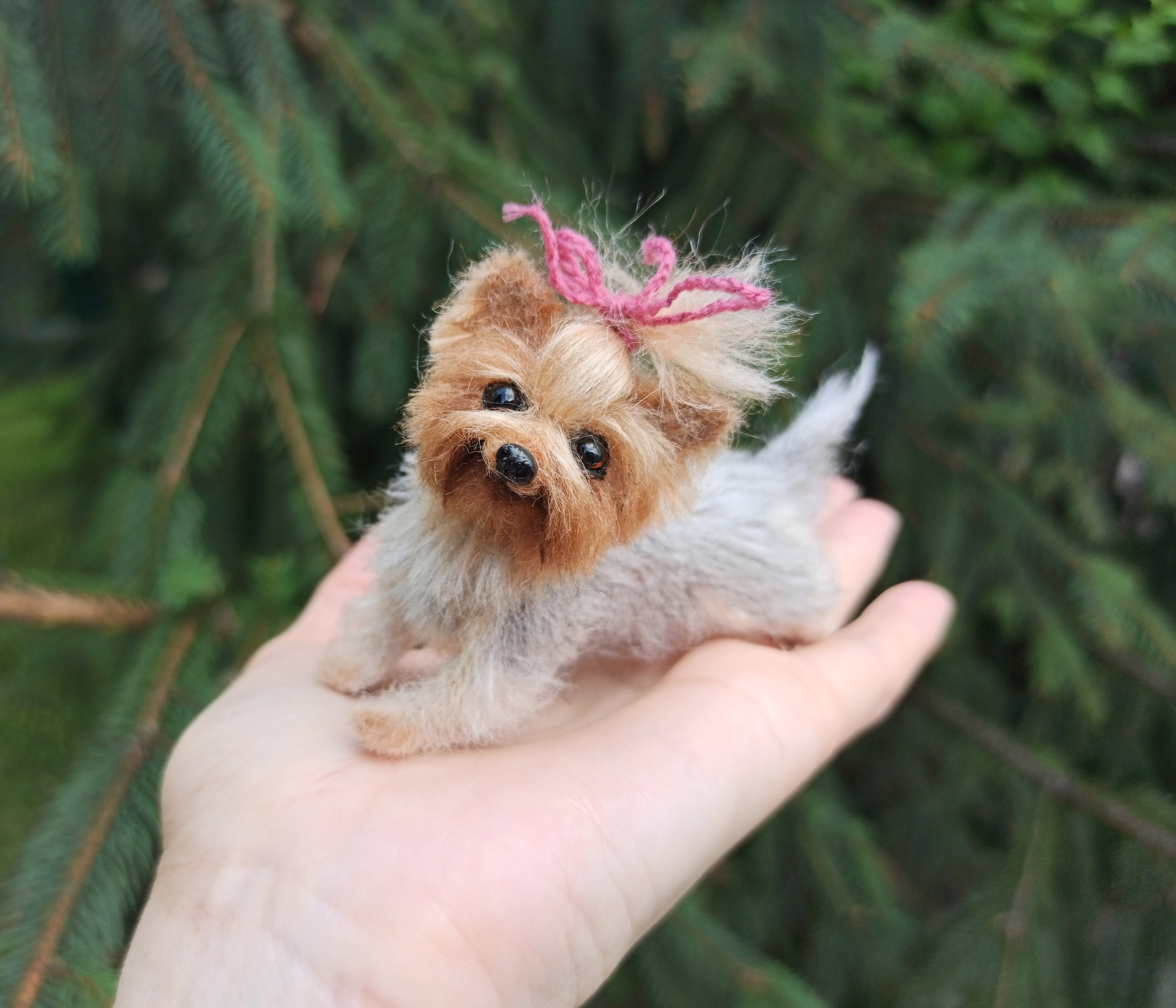 mini yorkshire terrier