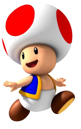 photos de toad