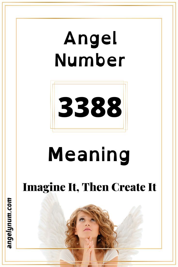 3388 angel number