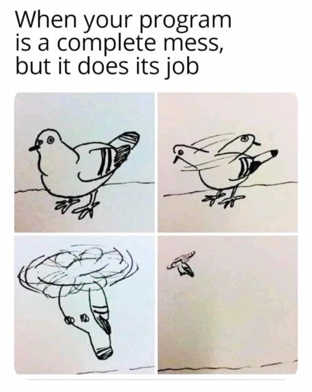 bird flying meme