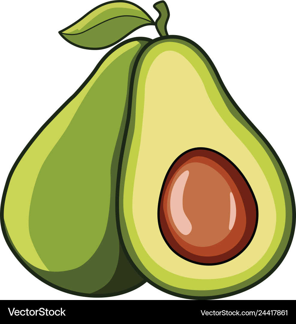 avocado vector free