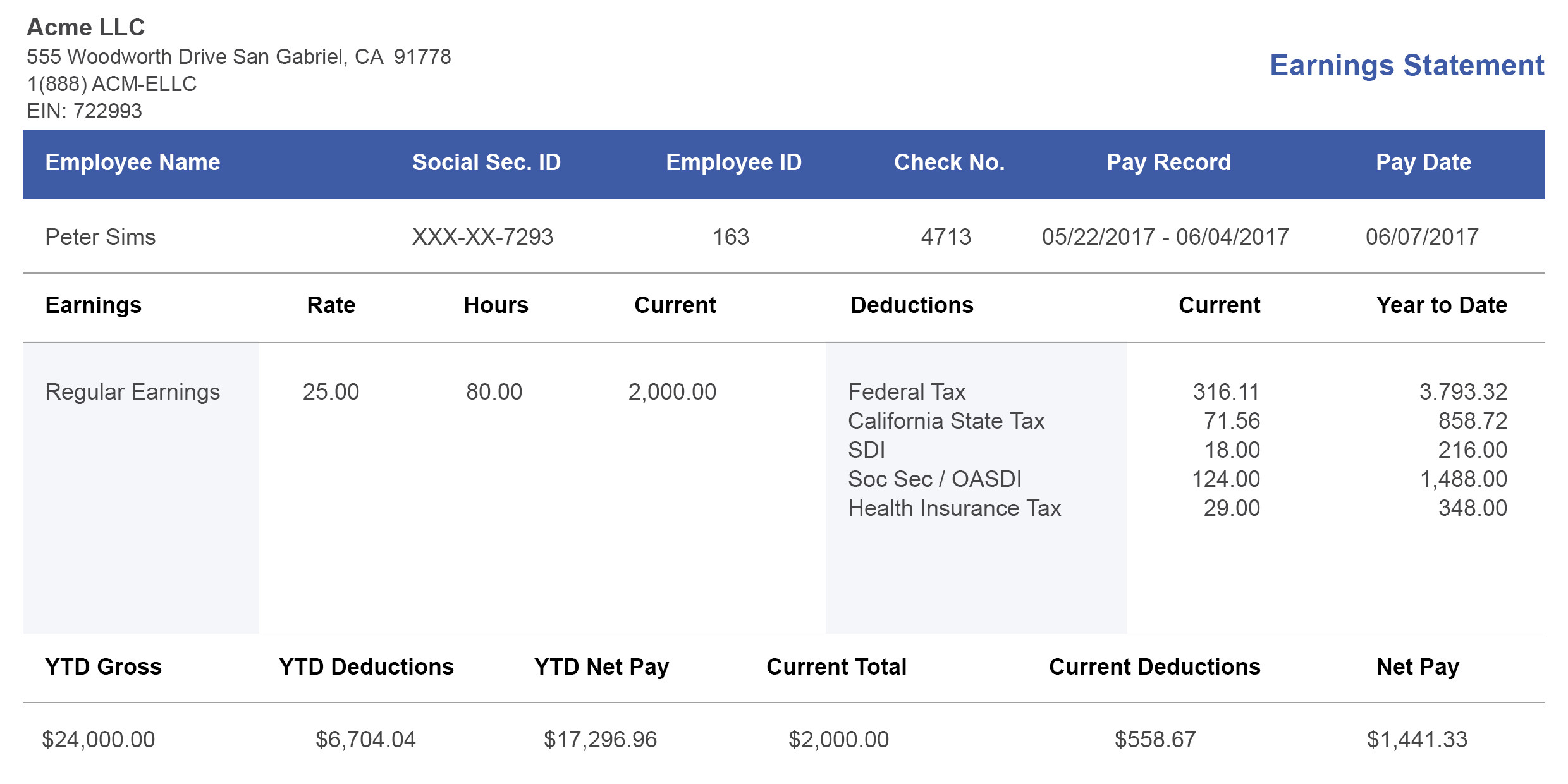 fake pay stub template