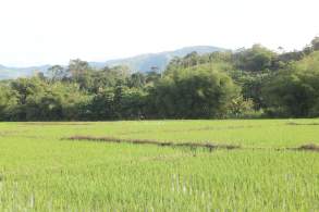 farm land for sale in nueva vizcaya