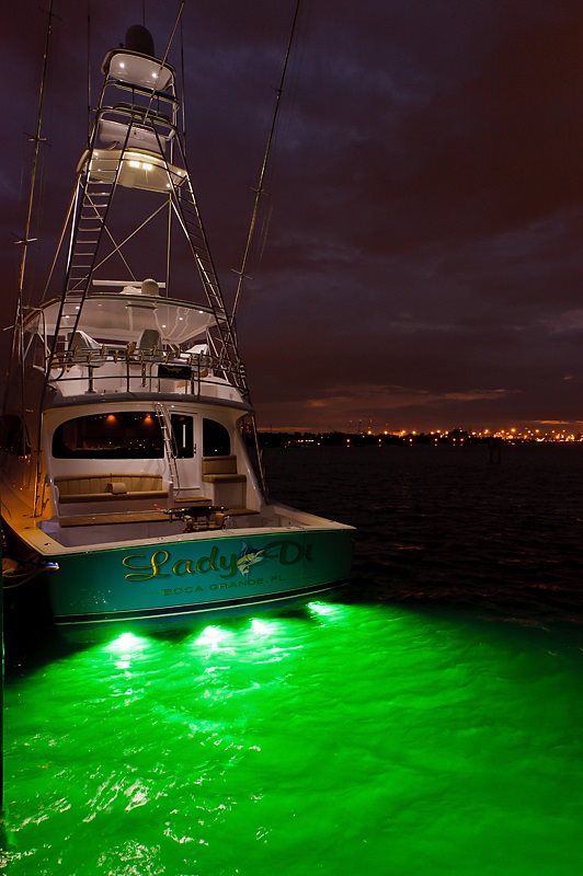 lights for fishing at night