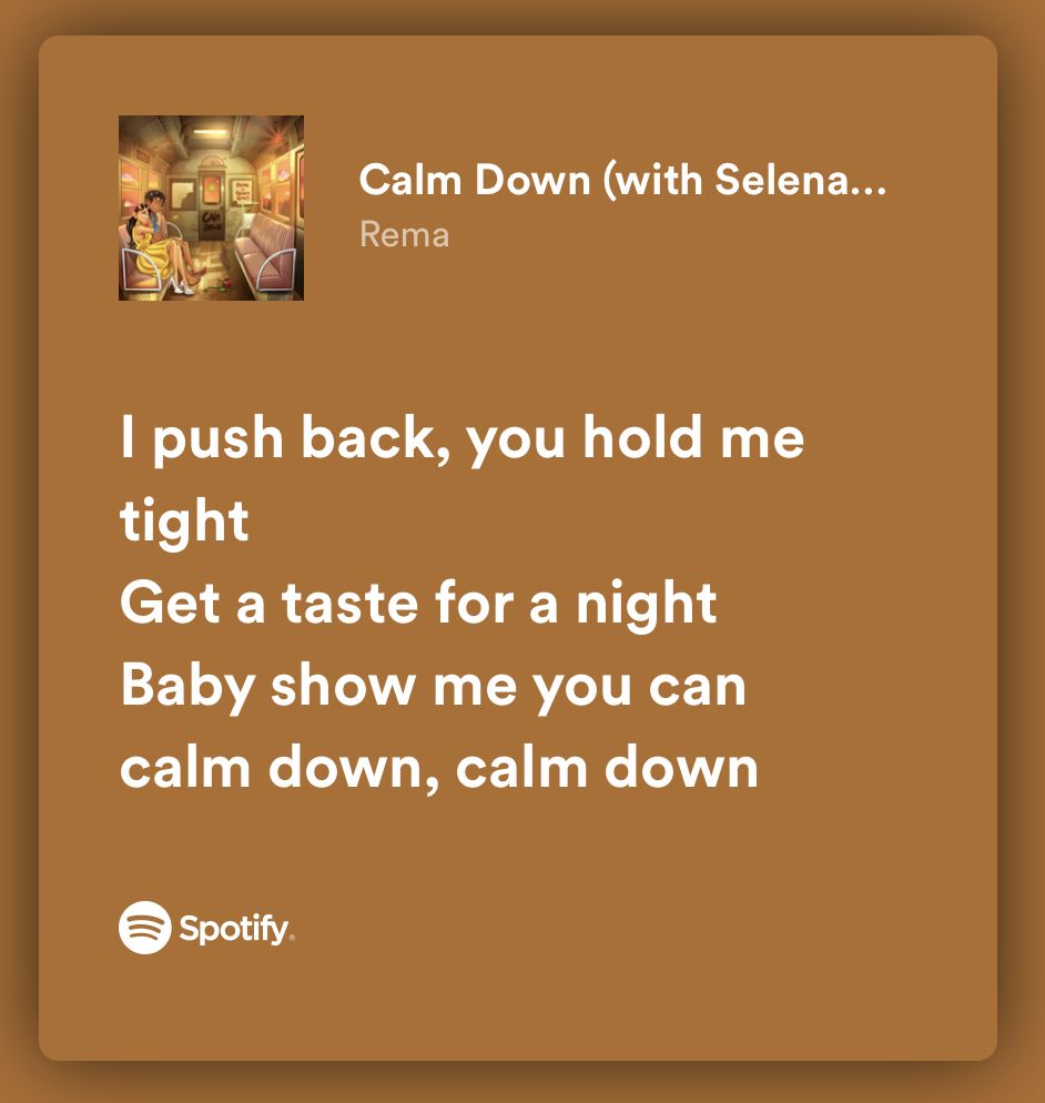 selena gomez calm down lyrics