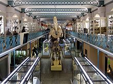 lille natural history museum