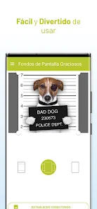 fondos de pantalla graciosos