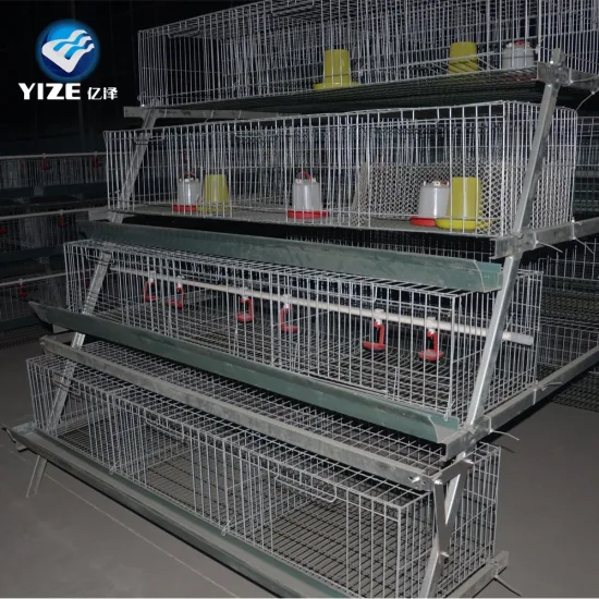 poultry cage design