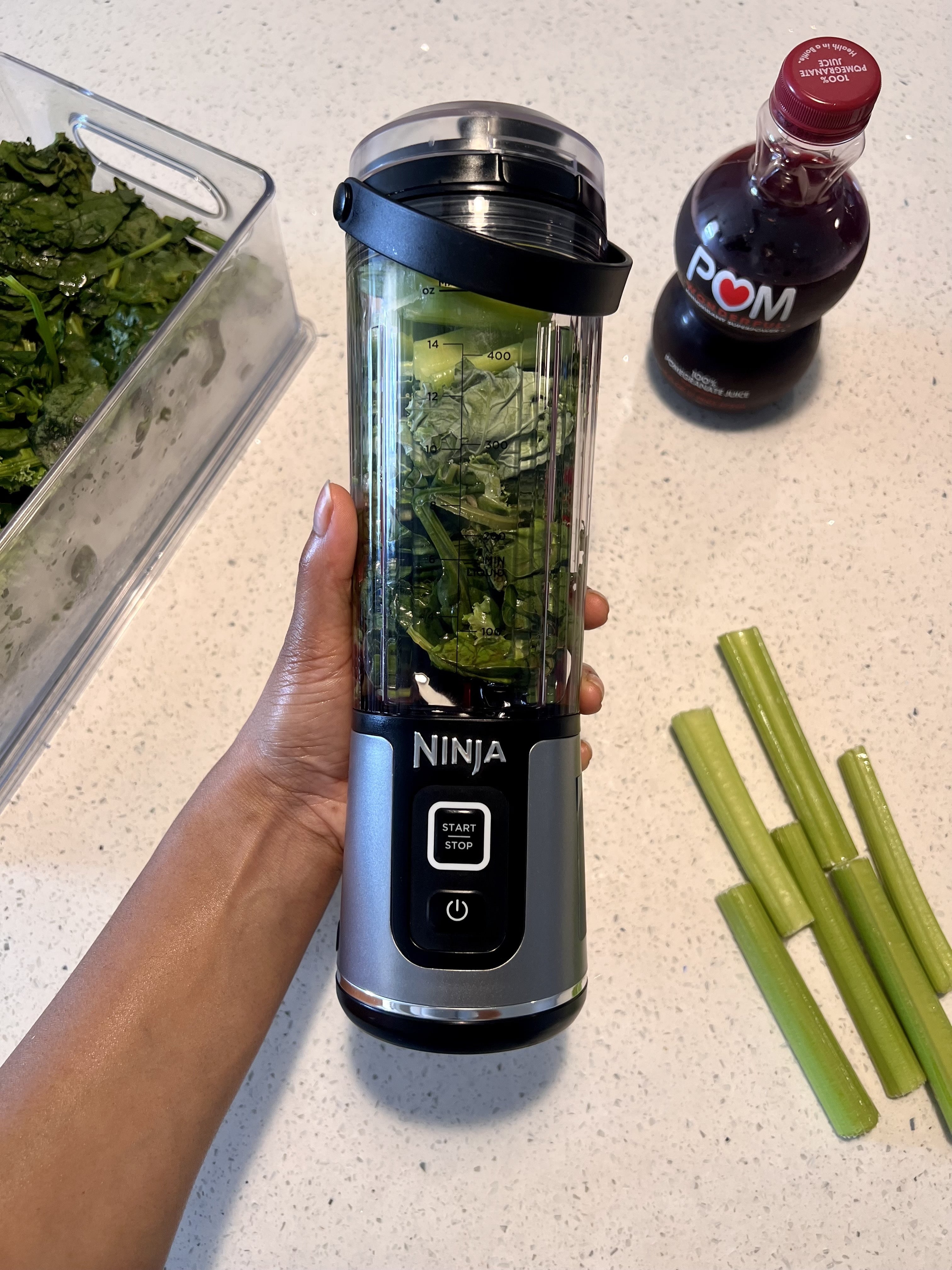 portable ninja blender