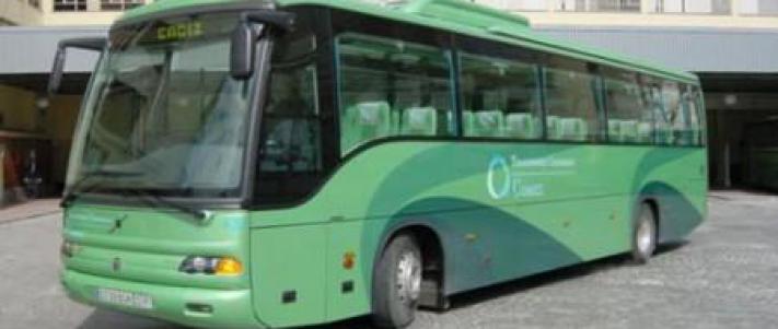 autobuses conil el palmar