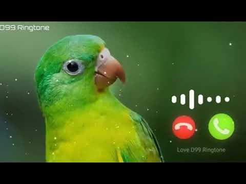 parrot message tone