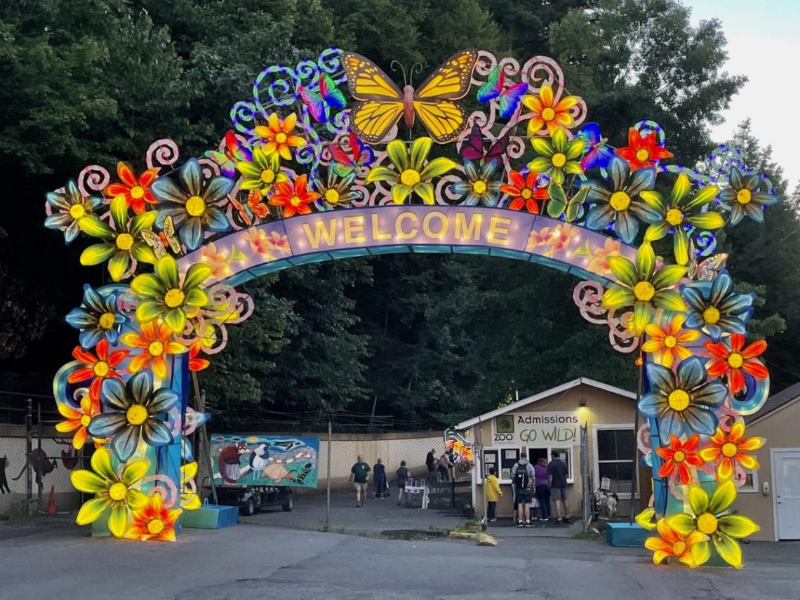 fiesta arch design