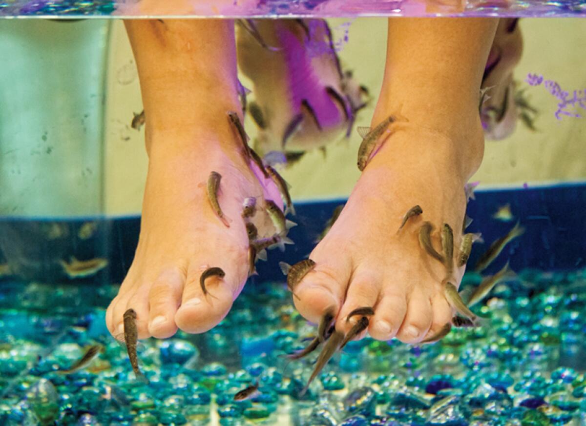 fish spa pedicure near me