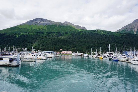 flights to seward